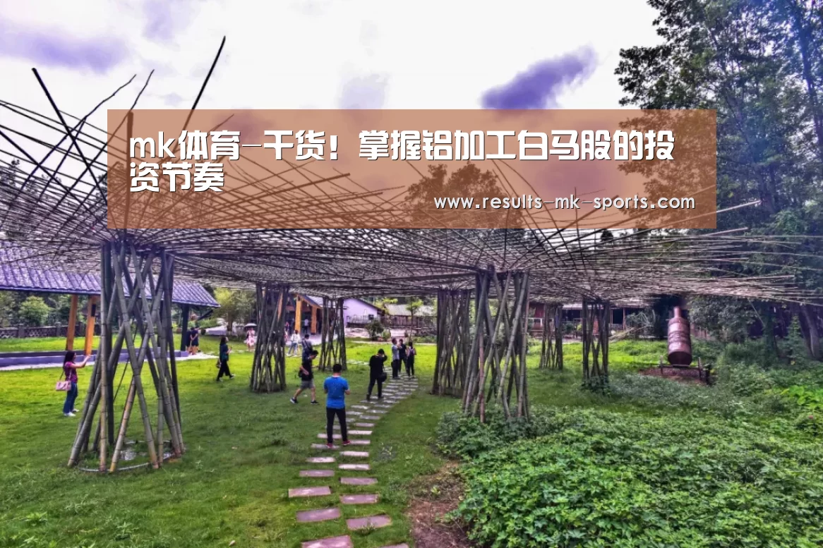 mk体育-干货！掌握铝加工白马股的投资节奏