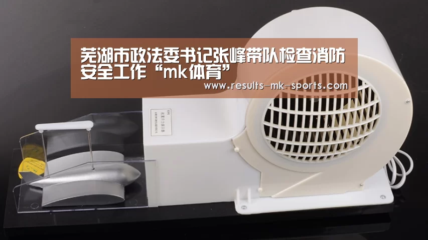 芜湖市政法委书记张峰带队检查消防安全工作“mk体育”