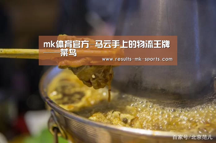 mk体育官方-马云手上的物流王牌——菜鸟(图3) mk体育