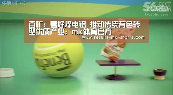百矿:看好煤电铝 推动传统有色转型优质产业:mk体育官方(图3) mk体育